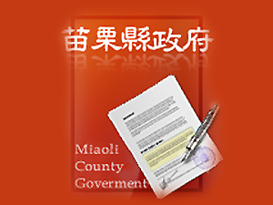 113年度施政績效報告